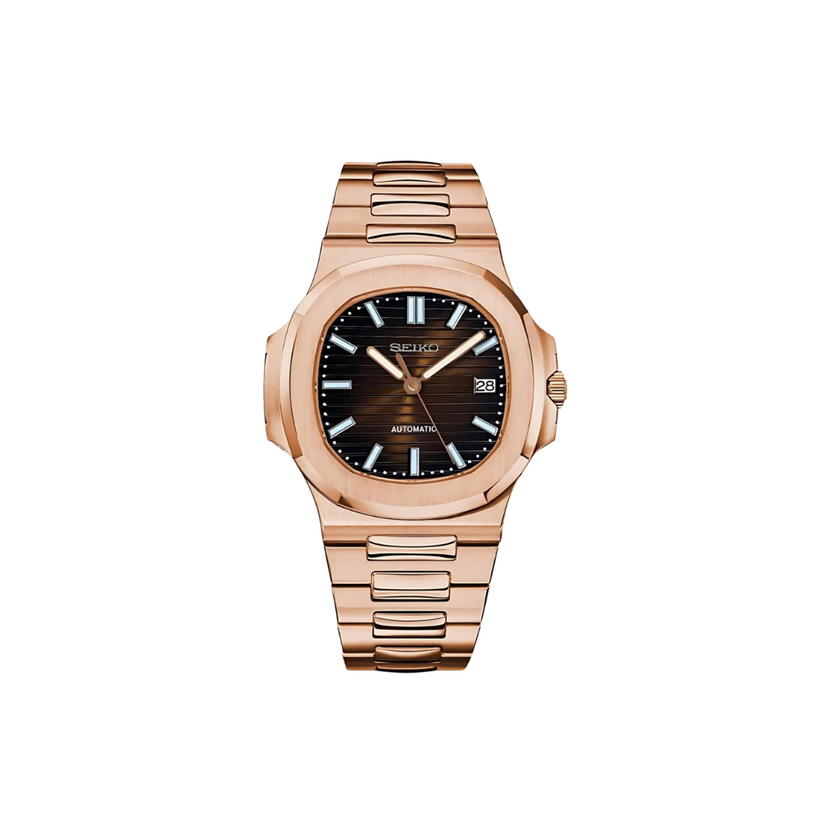 NAUTILUS BRONZE