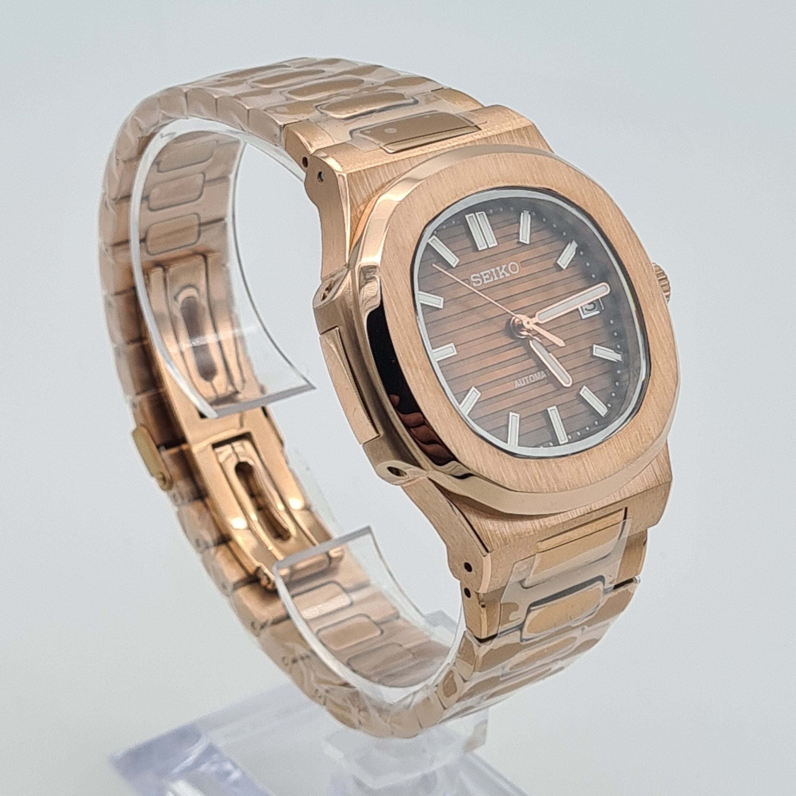 NAUTILUS BRONZE