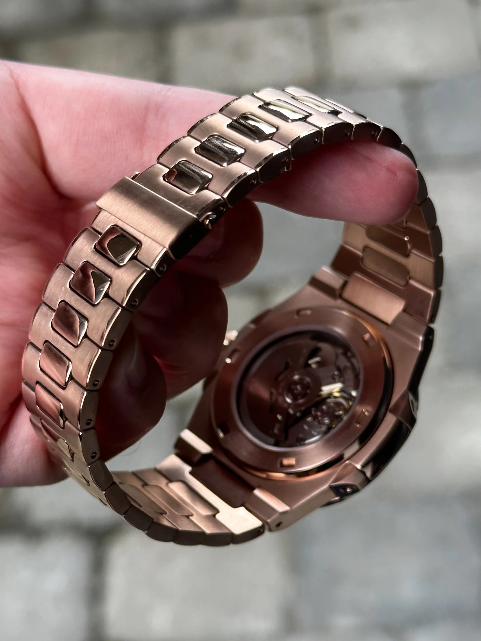 NAUTILUS BRONZE