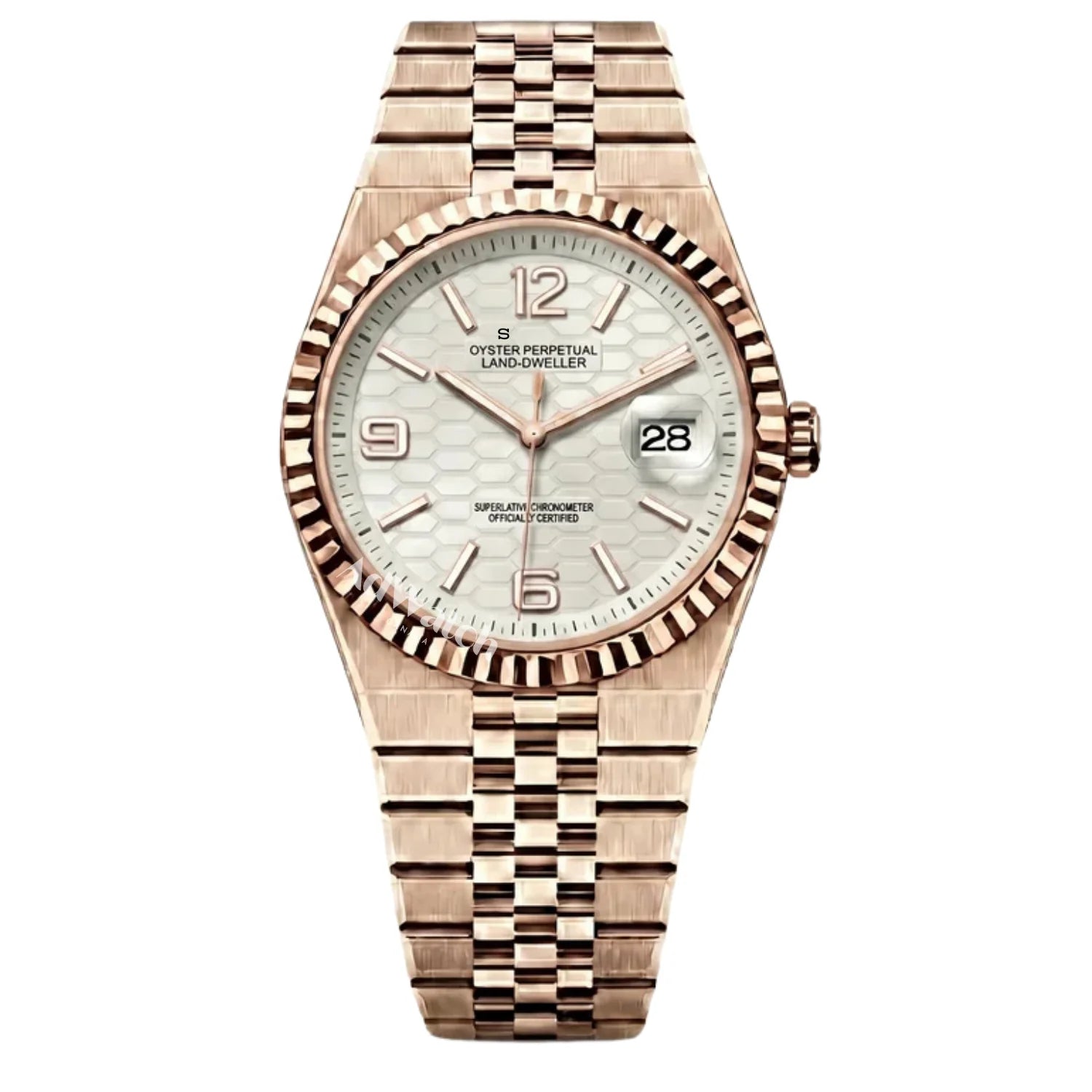 Land Dweller | Rose Gold White